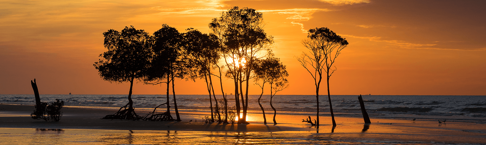 Photograph of Darwin Sunset