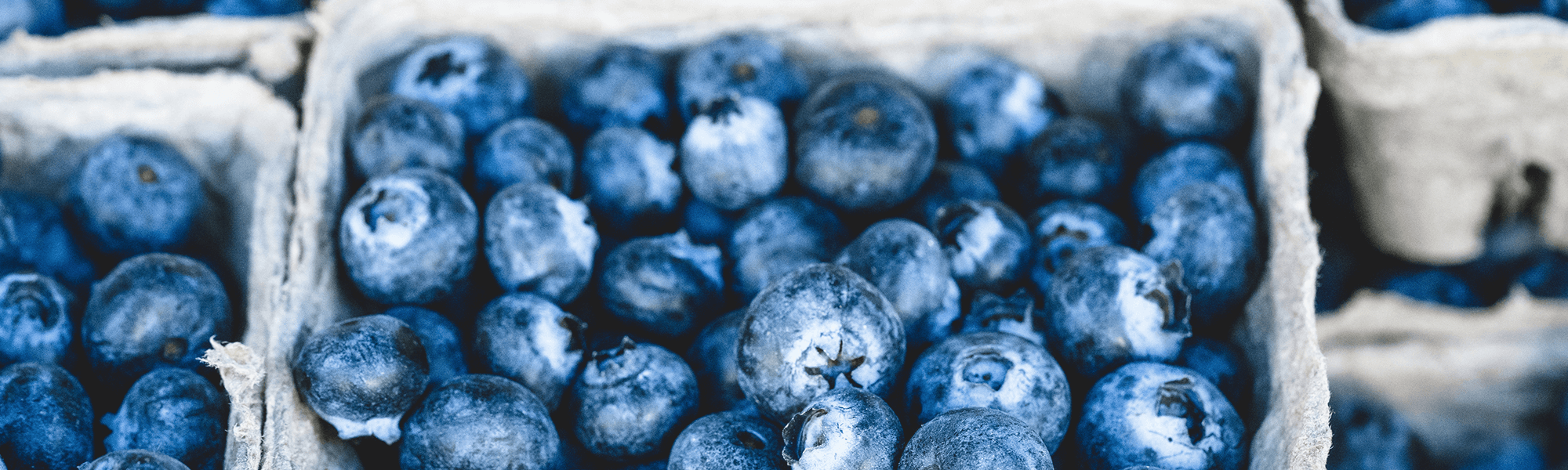 Blueberries in punnet