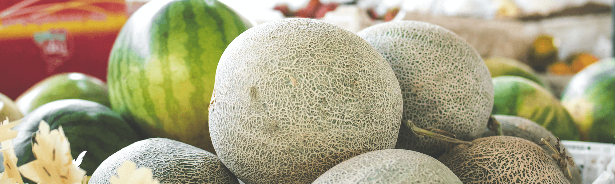 Photograph of Melons