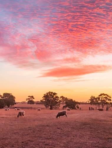 Agriculture in Australia: What's Trending in 2023